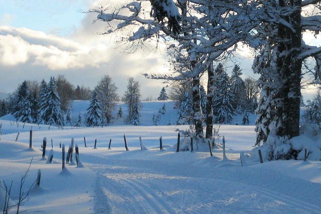 Ski de fond Hautes Combes (Jura)